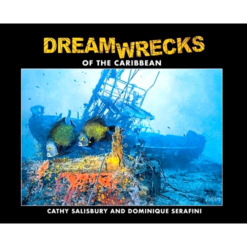 预订 DreamWrecks of the Caribbean: Diving the best shipwrecks of the region