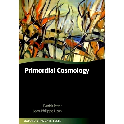 现货 Primordial Cosmology 宇宙本原论: 9780199665150