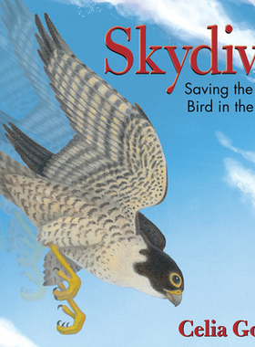 【预订】Skydiver