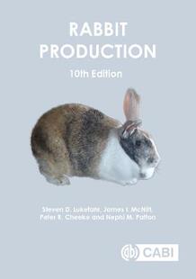 预订 Production Rabbit