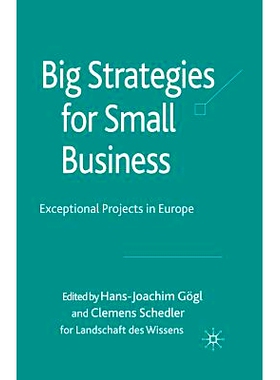 预订 Big Strategies for Small Business: Exceptional Projects in Europe: 9781349308491