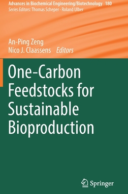 【预订】One-Carbon Feedstocks for Sustainable Bioproduction 9783031068539