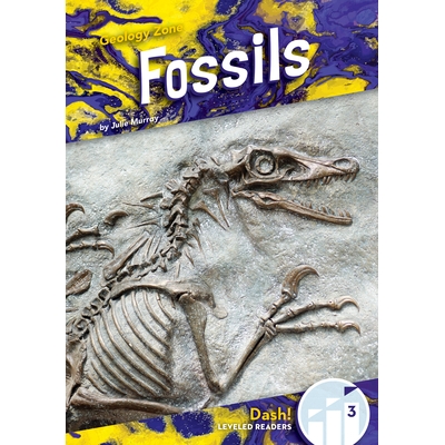 预订 Fossils: 9781098287153