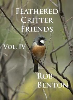 [预订]Feathered Critter Friends Vol. IV 9780998068237