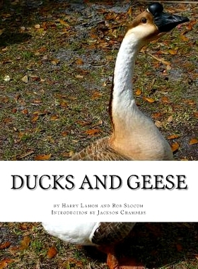 预订 Ducks and Geese: 9781539632917