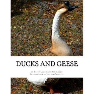 Geese and 9781539632917 Ducks 预订