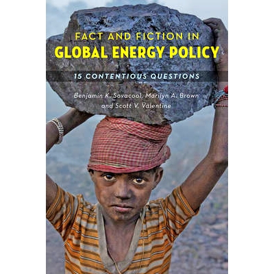 预订 Fact and Fiction in Global Energy Policy: Fifteen Contentious Questions 全球能源政策的事实与虚构：十五个有争议的问
