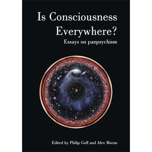Everywhere? Consciousness Essays 9781788360876 预订 Panpsychism