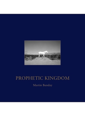 预订 Prophetic Kingdom 先知王国: 9781954119055