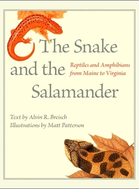 预订 The Snake and the Salamander: Reptiles and Amphibians from Maine to Virginia 蛇和蝾螈：缅因州至弗吉尼亚州的爬行动物