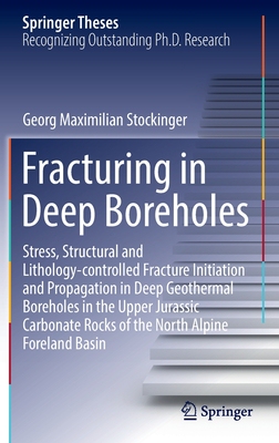 【预订】Fracturing in Deep Boreholes 9783030945688