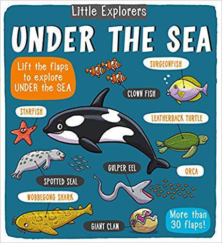 【预售】Little Explorers: Under the Sea