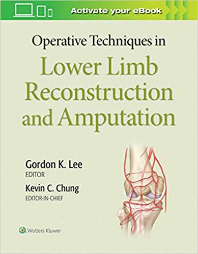 【预订】Operative Techniques in Lower Limb  Reconstruction and Amputation