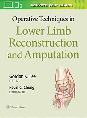 【预订】Operative Techniques in Lower Limb  Reconstruction and Amputation