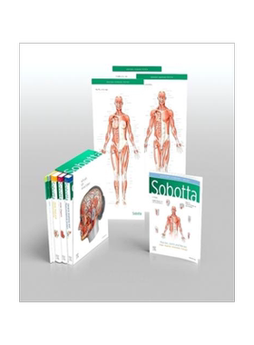 [预订]Sobotta Atlas of Anatomy, Package, 17th ed., English/Latin 9780702067648