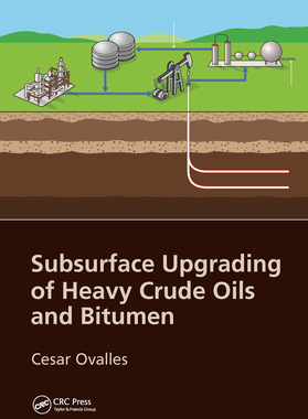【预订】Subsurface Upgrading of Heavy Crude Oils and Bitumen 9781032238906