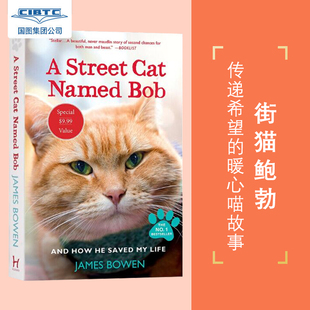 Bob 街猫bob Street Cat 英文原版 英文版 进口原版 一只名叫鲍勃 Named 街头流浪猫