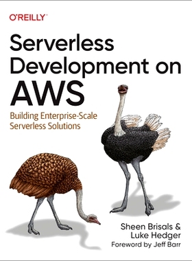 预订 Serverless Development on AWS: Building Enterprise-Scale Serverless Solutions: 9781098141936