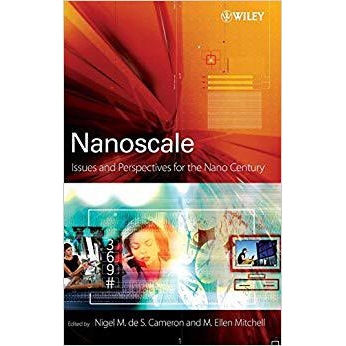 Issues and Perspectives for the Nano Cen