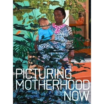 预订 Picturing Motherhood Now 描绘现代母性: 9780300260069