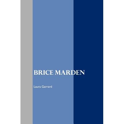 Brice Marden 布莱斯马登: 9781861713766