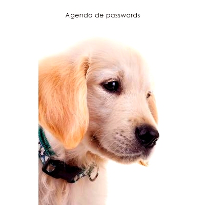 预订 Agenda de Passwords: Agenda Para Enderecos Electronicos E Passwords - Capa Cachorrinho Golden Retriever: 9781542901