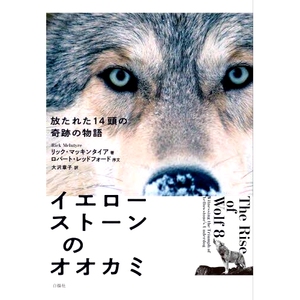 预订 イエローストーンのオオカミ 放たれた14頭の奇跡の物語 黄石狼队：14只被释放的狼的神奇故事: 9784826902496