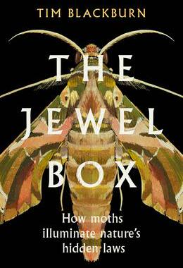 [预订]The Jewel Box 9781642832730