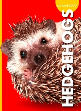 预订 Curious about Hedgehogs 对刺猬充满好奇: 9781645493075