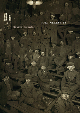 【预订】Fort Necessity 9780226533766