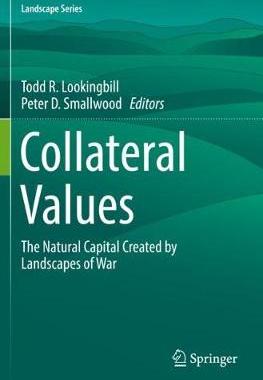 【预订】Collateral Values