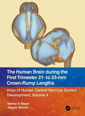 [预订]The Human Brain during the First Trimester 21- to 23-mm Crown-Rump Lengths 9781032219301