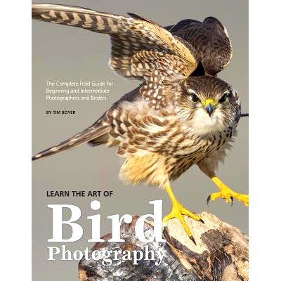 预订 Learn the Art of Bird Photography: The Complete Field Guide for Beginning and Intermediate Photographers and Birder