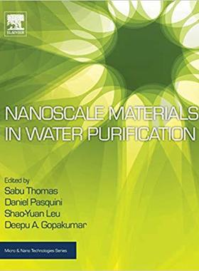 【预售】Nanoscale Materials in Water Purification