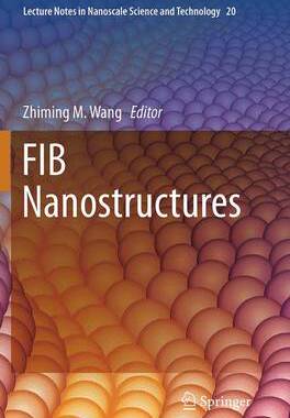 预订 FIB Nanostructures