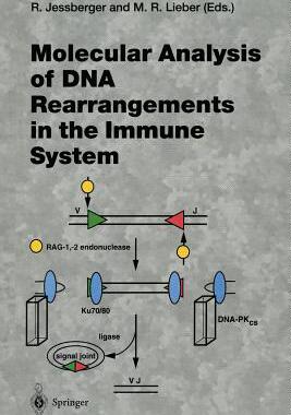 预订 Molecular Analysis of DNA Rearrangements in the Immune System