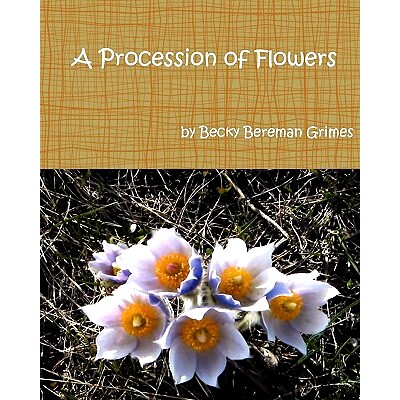 预订 A Procession of Flowers: 9781460942222