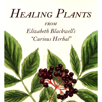 预订 Healing Plants: From Elizabeth Blackwell’s a Curious Herbal 治愈植物：摘自伊丽莎白·布莱克韦尔的《奇妙的草药》: 97