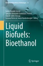 【预订】Liquid Biofuels: Bioethanol 9783031012402