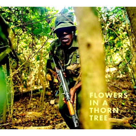 预订 Steven Thackston: Flowers in a Thorn Tree: ON THE ROAD WITH THE WARRIORS FOR PEACE AND WILDLIFE 史蒂文·塔克斯顿（S