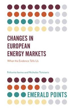 [预订]Changes in European Energy Markets: What the Evidence Tells Us 9781839091100