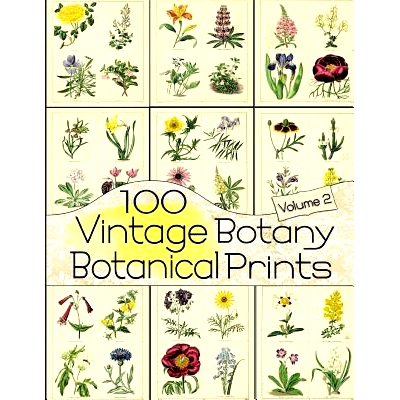预订 100 Vintage Botany Botanical Prints Volume 2: 9781071101742