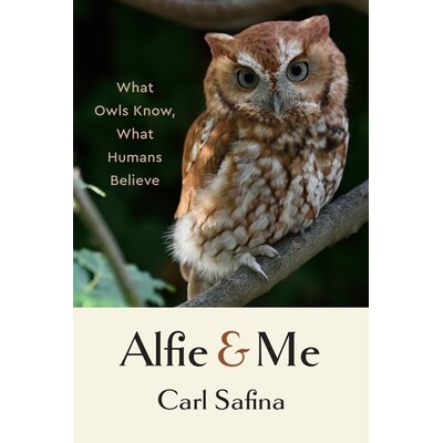 Alfie and Me: What Owls Know, What Humans Believe 阿尔菲和我:猫头鹰知道什么,人类相信什么: 9781324065463