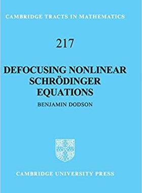 【预售】Defocusing Nonlinear Schrödinger Equations