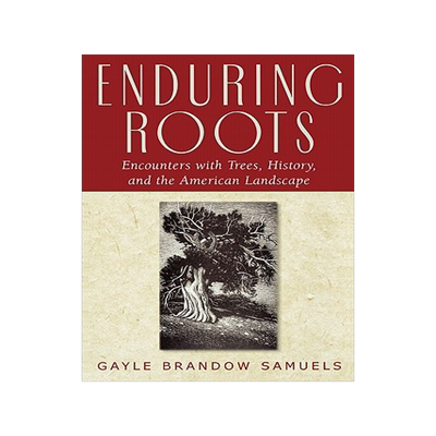 预订 Enduring Roots