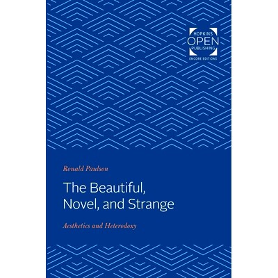 预订 The Beautiful, Novel, and Strange: Aesthetics and Heterodoxy 美丽、新奇、奇异：美学与异端: 9781421430560