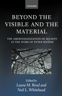 预订 and Beyond Visible Material the