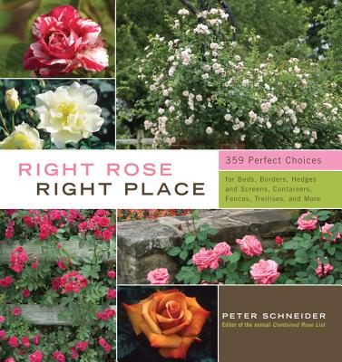 【预售】Right Rose, Right Place: 359 Perfect Choices for Beds, Borders, Hedges and Screens, Containers, Fences, Tr...