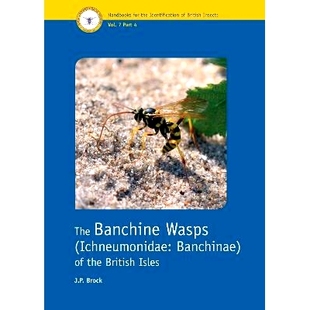 Ichneumonidae the The Wasps 姬蜂科 9781800628274 预订 斑蜂 Banchinae Banchine Isles British 斑蜂科 不列颠群岛