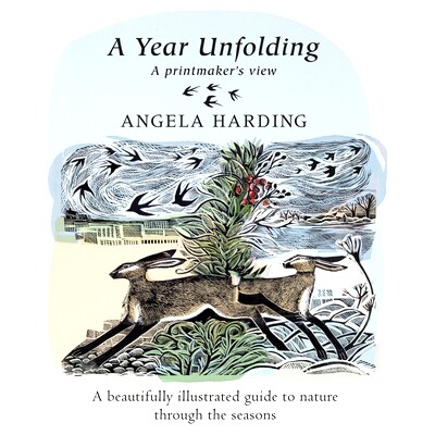 预订 A Year Unfolding: A Printmaker’s View. A beautifully illustrated guide to nature through the seasons 一年上演:一个